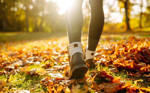 istockphoto 1430304854 612x612